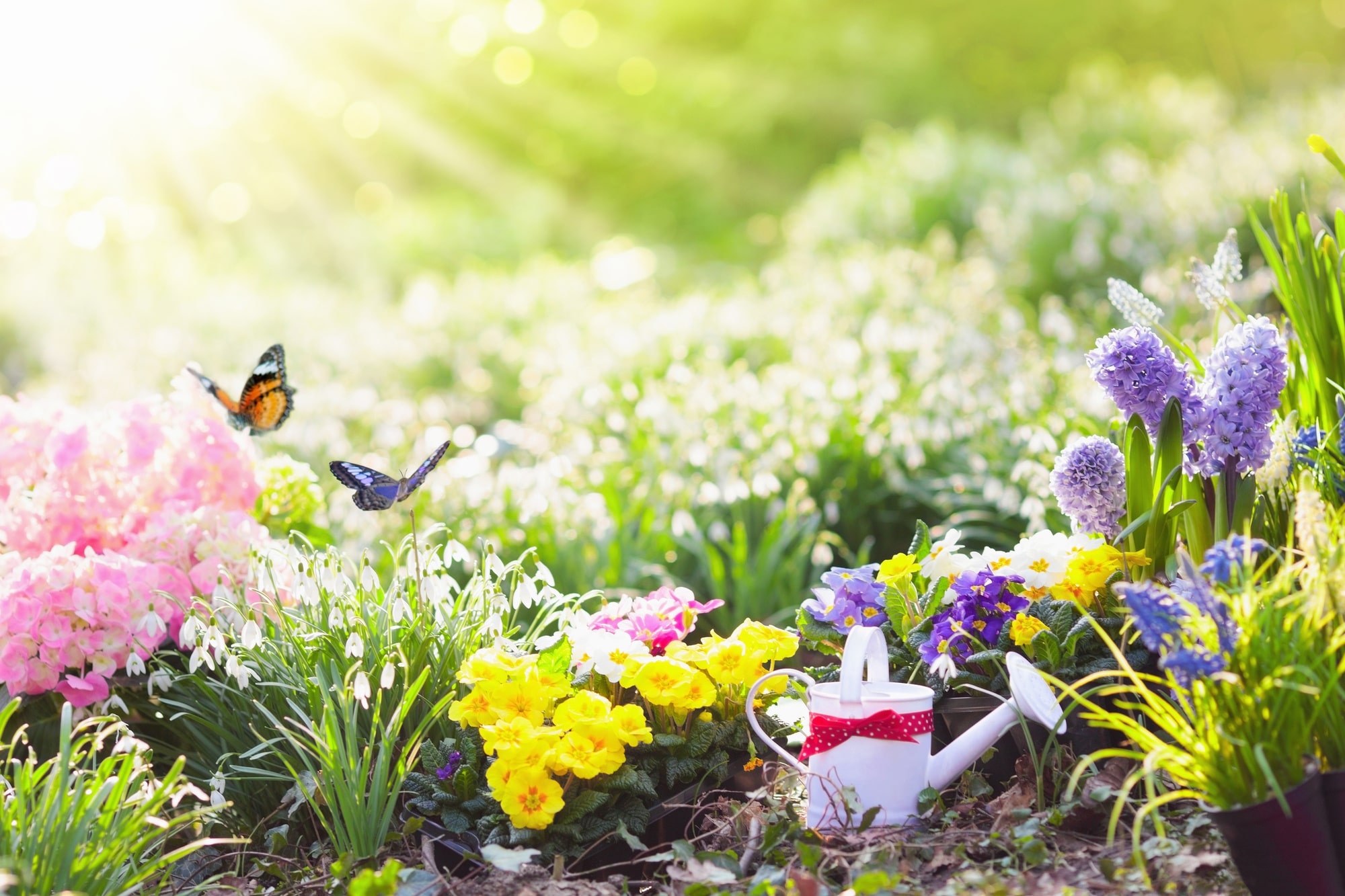 How Can You Get a Rental Property Ready for Spring?